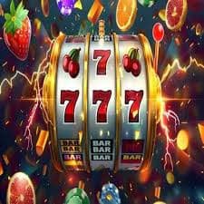 288wni